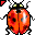 Custom Cursor